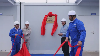 1765274025615542.png 8.13.png